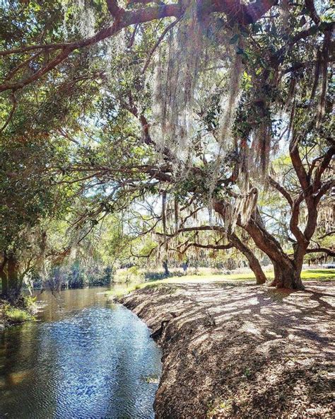 the lake kissanime|Lake Kissimmee State Park .